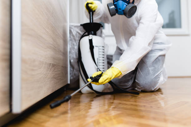 Best Bed Bug Extermination  in North Hornell, NY