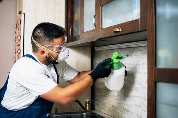 Best Cockroach Control Services  in North Hornell, NY