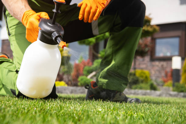 Best Pest Removal Services  in North Hornell, NY