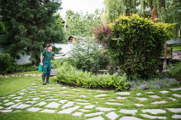 Best Ant Control Services  in North Hornell, NY
