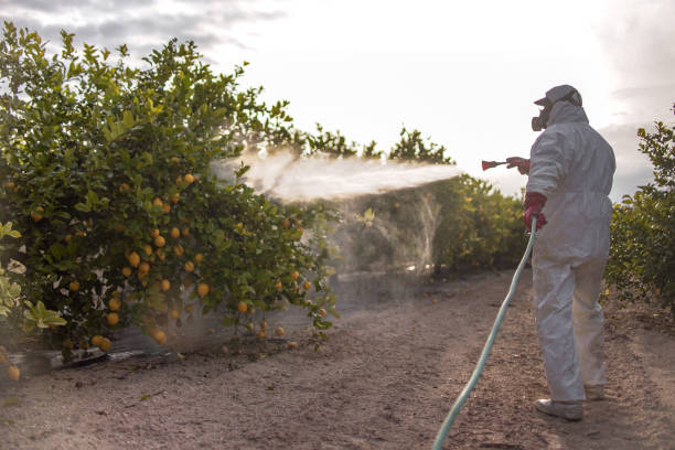 Professional Pest Control in North Hornell, NY