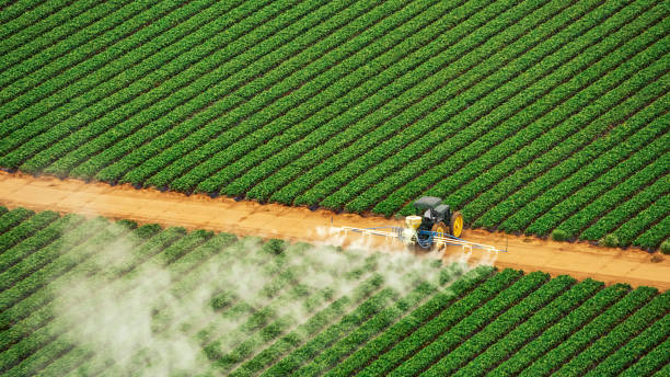 Best Mosquito Control Services  in North Hornell, NY