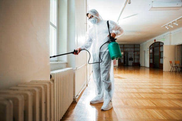  North Hornell, NY Pest Control Pros
